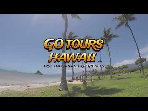 Video: Costa sudorientale e costa sopravento di Oahu