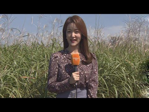 [날씨] 휴일 쾌청한 가을, 한낮 선선…일교차 유의 / 연합뉴스TV (YonhapnewsTV)
