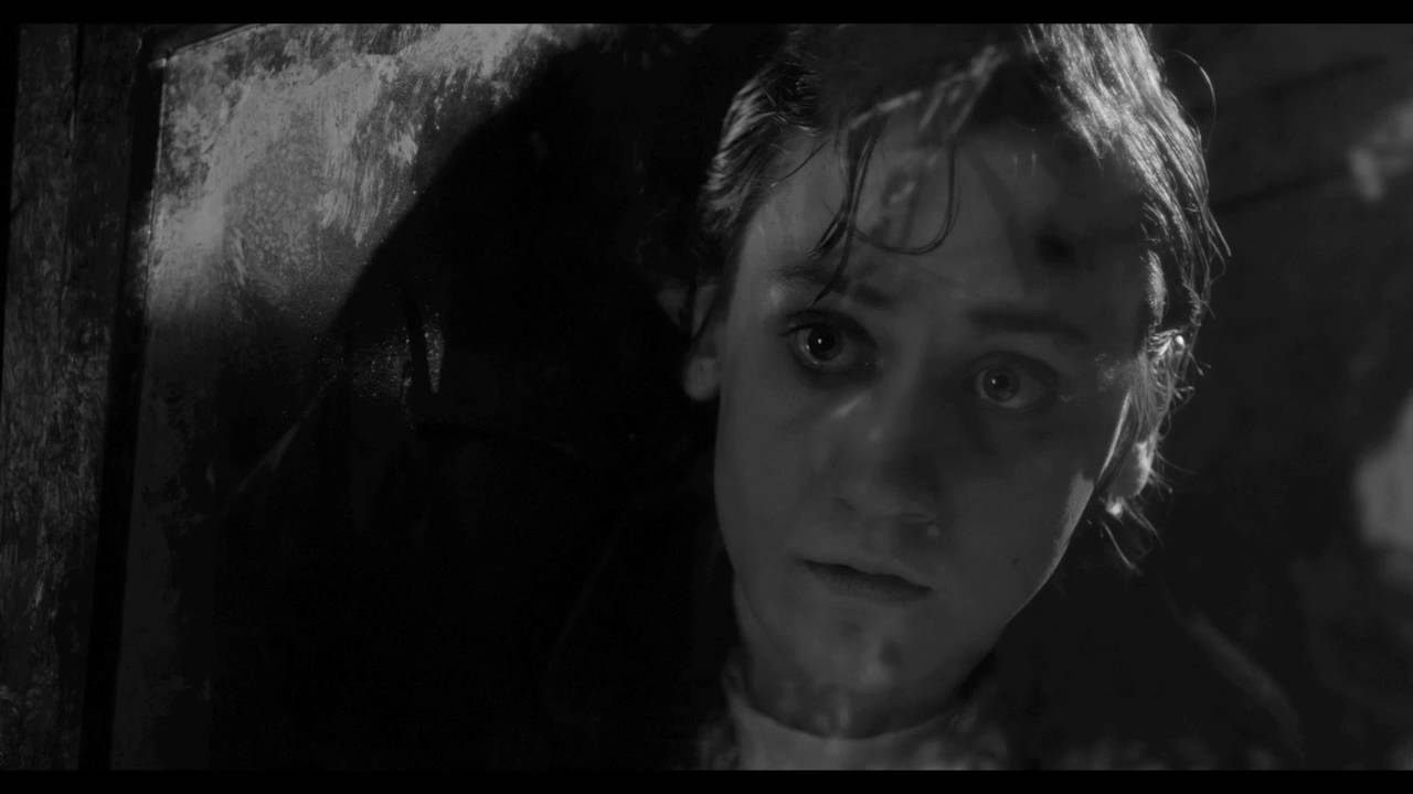 camera iphone 8 plus apk La Increible historia de la increible Mujer Araña