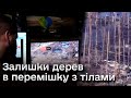 😨 Серебрянський ліс вже походить на поверхню місяця. Вибухи тут обсипають бліндажі!