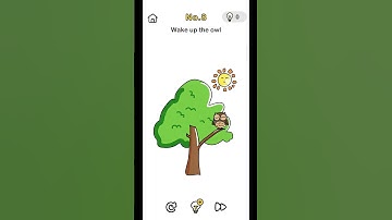 Brain Out Level 08 | Wake up the owl