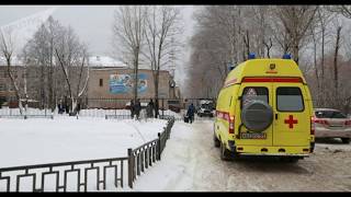 Резня в пермской школе урок ребятам о зверятах Резня в пермской школе урок ребятам о зверятах