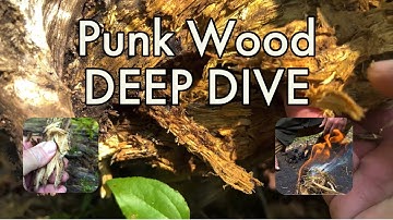 Punk Wood Deep Dive and Charring Process