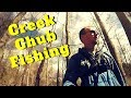 Creek Chub Fishing