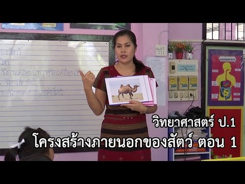 วิทยาศาสตร์ ป.1 โครงสร้างภายนอกของสัตว์ ตอนที่ 1 ครูนาถฤดี สารสอน