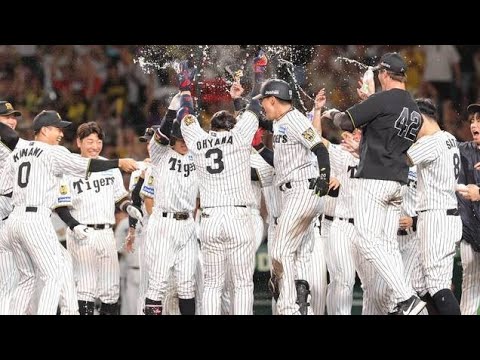 大山悠輔が決めた！延長11回、甲子園が揺れた劇的サヨナラ弾🔥🐯