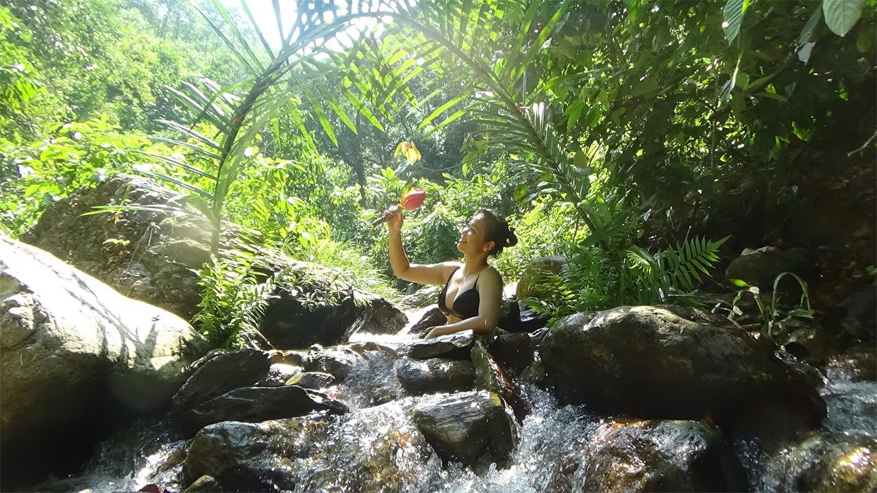 Solo bushcraft & Camping - Survival alone in the rainforest - LIVING ...