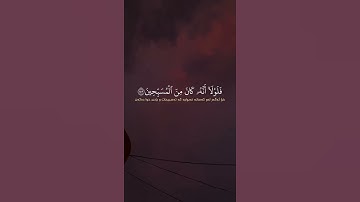 القرآن الكريم | وَإِنَّ يُونُسَ لَمِنَ الْمُرْسَلِينَ | سورة الصافات