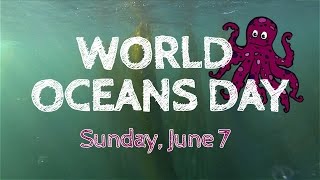 World Oceans Day Victoria
Visit Fishermans Wharf on Sunday, June 7th to help celebrate World Oceans Day!
For more info visit - http://fishermanswharfvictoria.com/
MUSIC:
Life of Riley by Kevin MacLeod (incompetech.com)
Licensed under Creative Commons: By Attribution 3.0
http://creativecommons.org/licenses/b... World Oceans Day Victoria