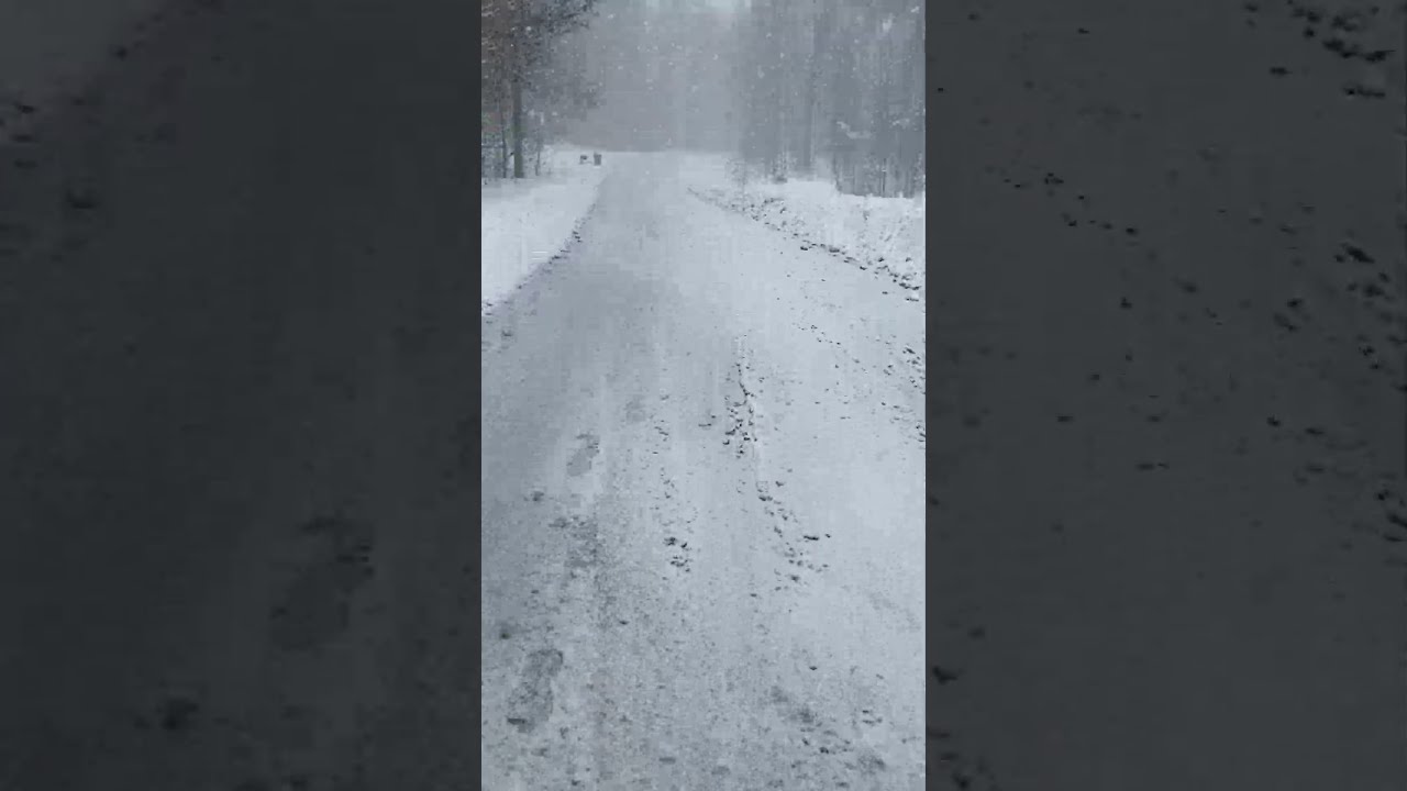 Lake Effect Snow can be Relentless in Erie, PA #SnowFall #SnowStorm2024 #CrazyWeather