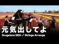 ''Drugstore SEKI" 【元気出してよ】 Strings Arrangement