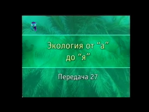 Экология. Передача 27. Экологическая сукцессия. Заселение мёртвого вулканического острова. Часть 1