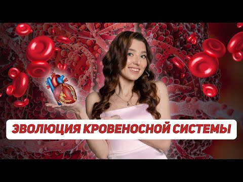 Эволюция кровеносной системы | БИОЛОГИЯ | ОГЭ 2024 | 99 БАЛЛОВ