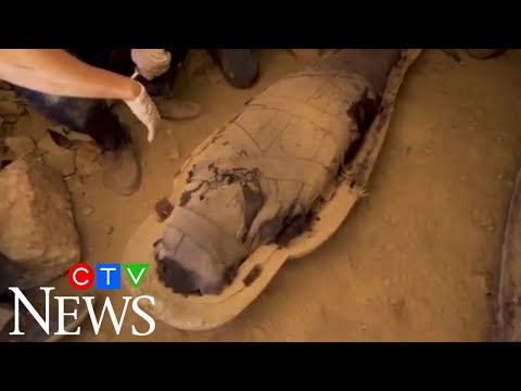 At least 59 centuries-old coffins, some with mummies inside, unearthed in Egypt.