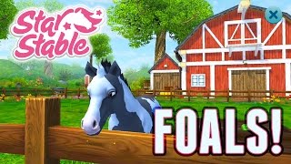 Star Stable Horses App - FOALS! screenshot 5
