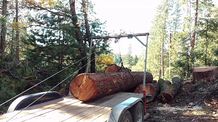 loading first 3500 pound log on trailer with home made log arch and 9000 pound winch
