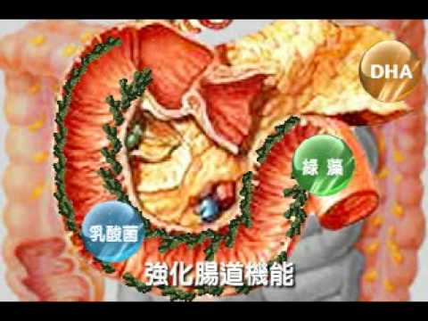 mv2vcd