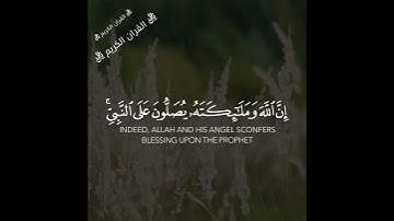 القارئ هزاع البلوشي سورة (الاحزاب)