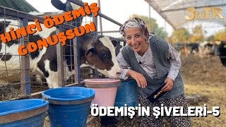 Hi̇nci̇ Ödemi̇ş Gonuşsun 2. Sezon 5.Bölüm Ödemi̇şi̇n Şi̇veleri̇-5