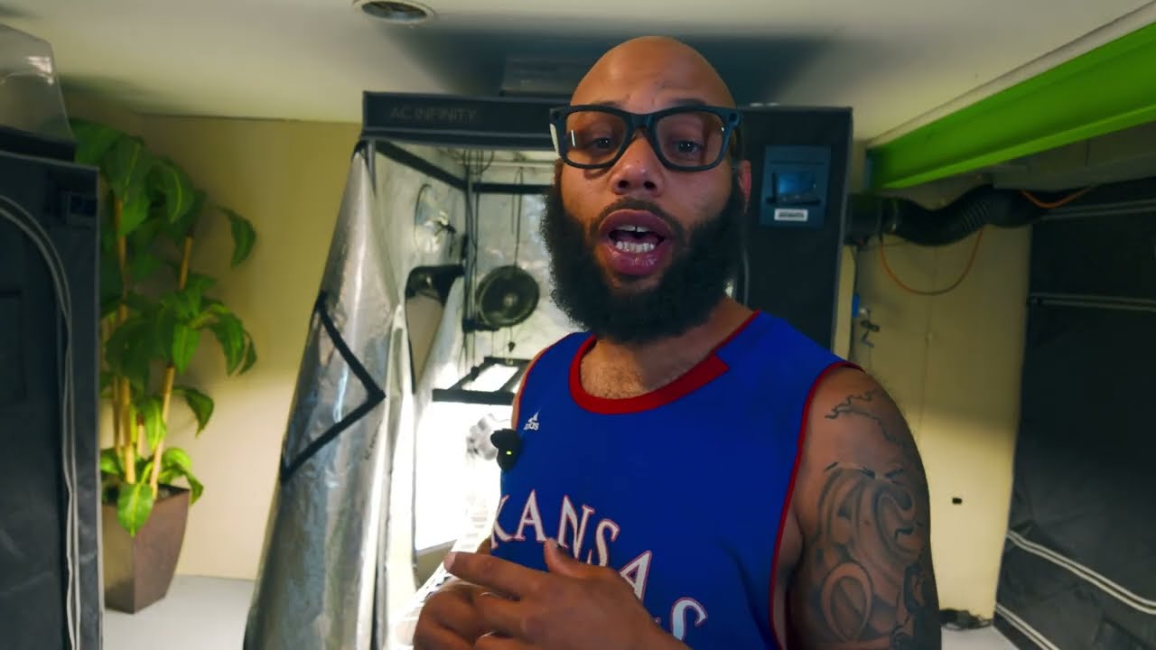 Strawnanna Melt Organic Cannabis Grow Part 3 | Flip to Flower Stage (GC Genetics)