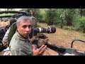 Photography Tip - Camera setting for Tiger behind bushes