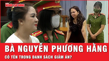 Vì sao Bà Nguyễn Phương Hằng có tên trong danh sách giảm án nhưng không được xem xét? | Hồ sơ vụ án