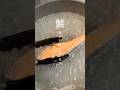 夏までに体を仕上げたい女の最強おにぎりランチ