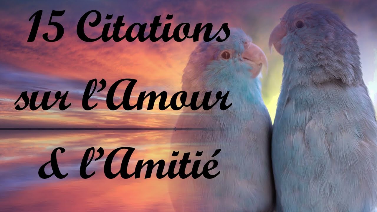 Paroles D Amour Ou D Amitié www.youtube.com