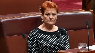 Australia’s migration intake ‘not working’ for the economy: Pauline Hanson
