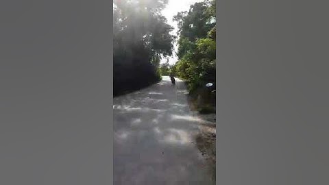 Stage6 Racing MK1 Modular Yasuni C21 100 meters  #70cc #baotian #highend #stage6