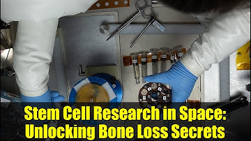 Stem Cell Research in Space: Unlocking Bone Loss Secrets