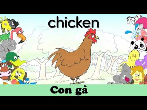 Video Tiếng Anh Dành Cho Trẻ - Chủ Đề Động Vật và Màu Sắc -... - YouTube
