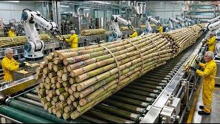 Inside the Cane Sugar Factory – How Sugar Is Made Step-by-Step (Full Process)