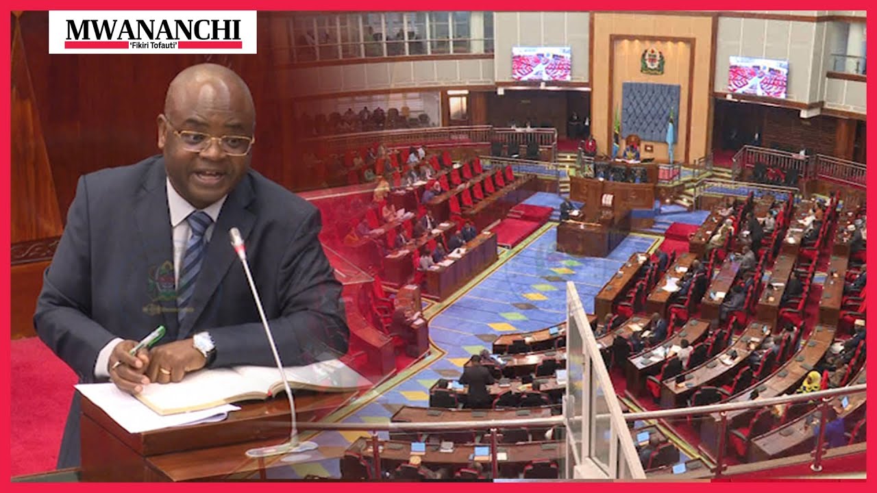 Tazama Profesa Kitila Mkumbo alivyoshangiliwa na wabunge wenzake akijibu kwa mara ya kwanza Bungeni