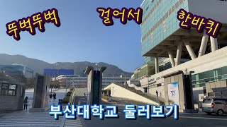 부산대학교 젊음의거리 영상