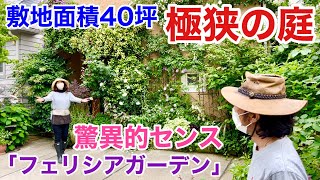 【狭い庭必見】狭い庭で極上のお庭はできます　　　　　【カーメン君】【園芸】【ガーデニング】【個人庭】【フェリシアさん】