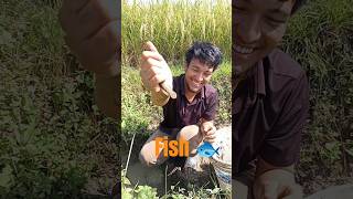 Really amazing plastic pipe fishing trap #fishingtrap #fishvideo #shorts