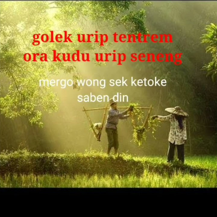 story wa bijak jawa