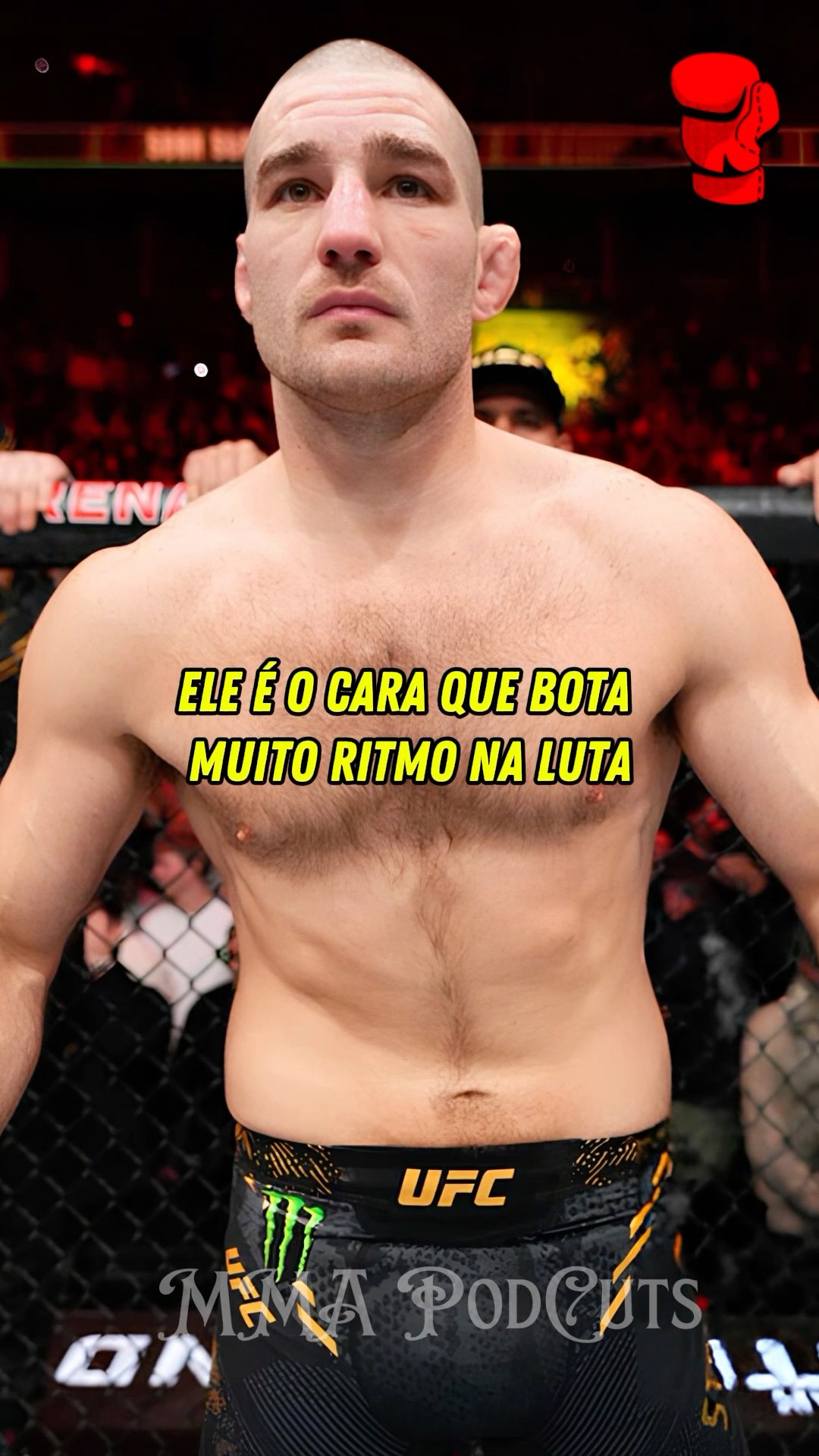 ALEX POATAN X SEAN STRICKLAND  #mma #luta #boxe #ufc #shortsfeed #brasil #foryou
