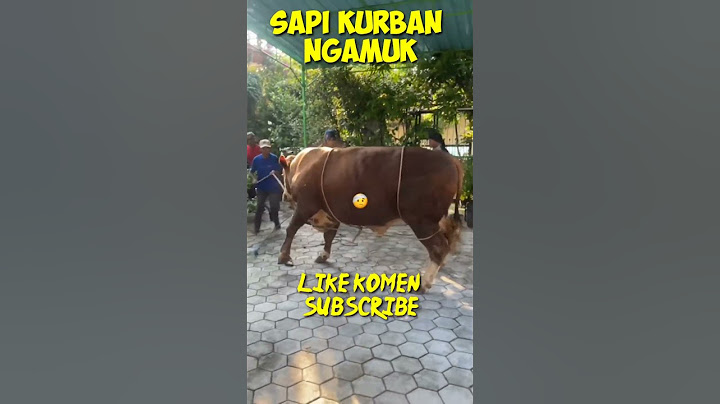 Momen Sapi kurban Ngamuk #shorts #sapiqurbanngamuk #sapingamuk
