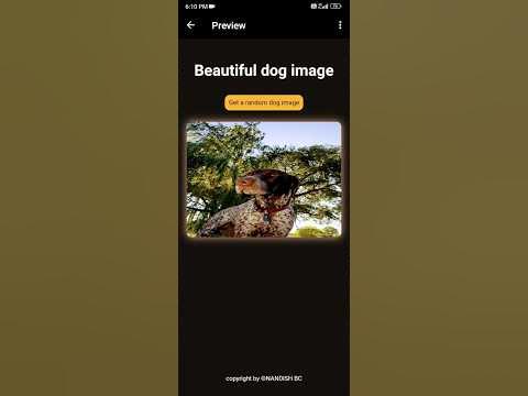 beautiful dogs fetching using html css js and api #coding #programming ...