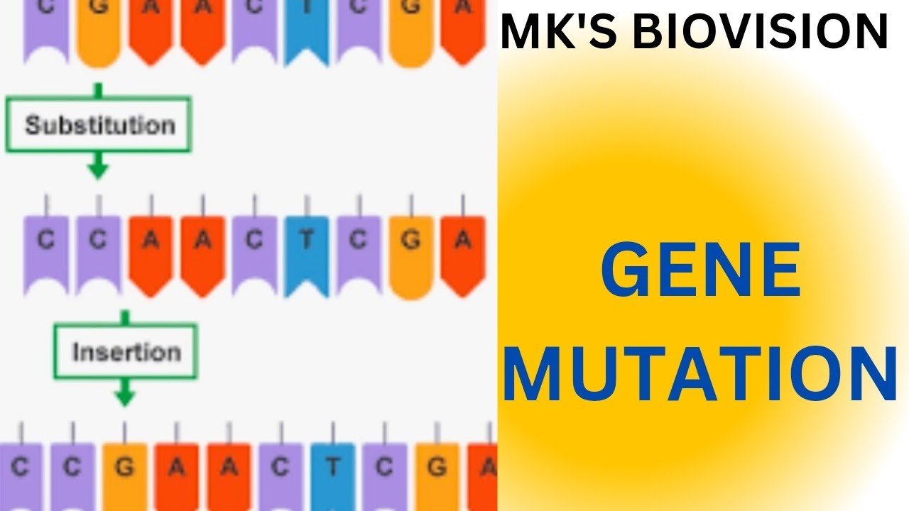Gene Mutation - YouTube