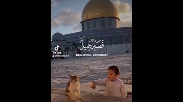 فَصَبْرٌ جَمِيلٌ وَاللَّهُ الْمُسْتَعَانُ عَلَى مَا تَصِفُونَ #سورة_يوسف #قرآن #غزة #gaza #quran