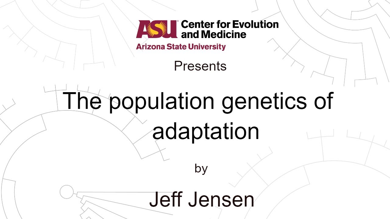 The population genetics of adaptation | Jeff Jensen
