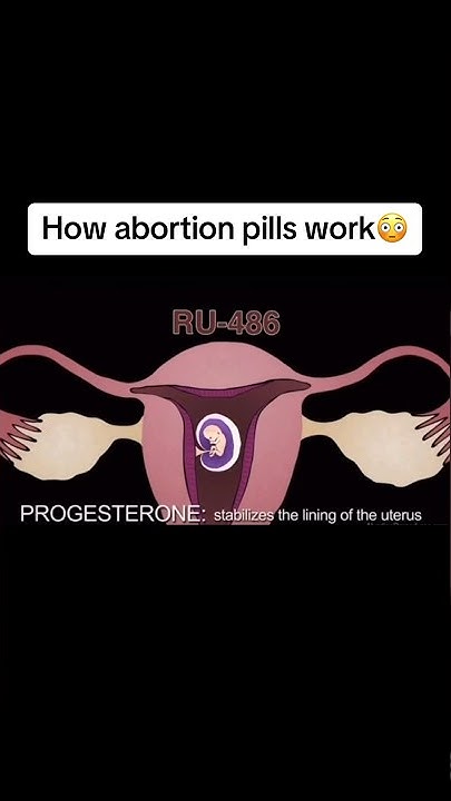 How Abortion Pill Work Animation In Hindi How abortion pills work😳 #shorts - YouTube