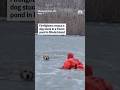 Firefighters rescue dog stuck in a frozen pond in Rhode Island