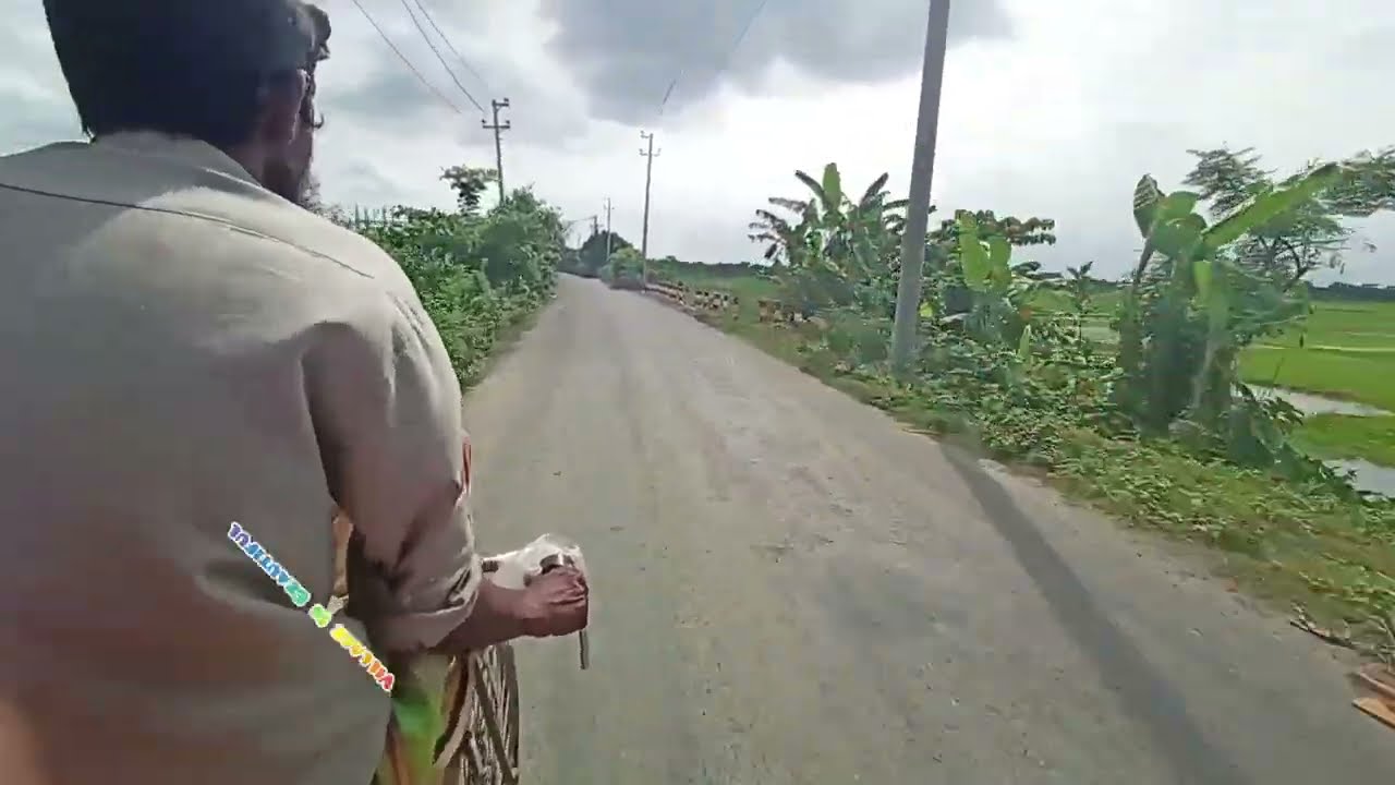 Cumilla Homna Raghunathpur to Sreepur  Pass by Road - Bangladesh's Most Beautiful 