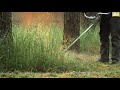 Tree Trimming In Phoenix AZ 602 671 022 Tree Trimming In Phoenix AZ 602 671 022