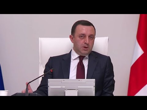 ეს მავნებელი ოპოზიციონერი პოლიტიკოსები დადიან ევროპაში და ათას სისულელეს ავრცელებენ - ღარიბაშვილი