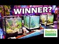 AQUARIUM AQUASCAPING CONTEST: And The Winner Is?